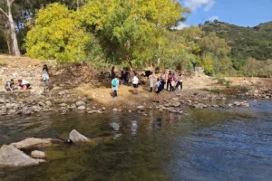 Alejarte del ritmo intenso de la ciudad - Retiro de Yoga en Sevilla​