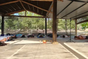 Alinear cuerpo y mente lejos del ruido habitual - Retiro Yoga Huelva