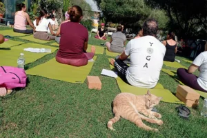 Practicar yoga en entornos naturales que invitan a la calma - Retiro Yoga Córdoba