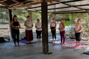 Practicar yoga en escenarios naturales que favorecen la paz y la presencia - Retiro Yoga Granada