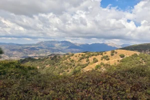 Sentir la energía serena y envolvente de la sierra malagueña - Retiro Yoga Málaga