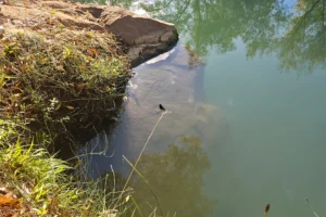 Sumergirte en la autenticidad del interior andaluz - Retiro Yoga Córdoba