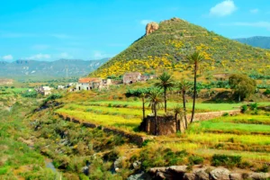 Sumergirte en la belleza auténtica de Cabo de Gata y su entorno - Retiro Yoga Almería
