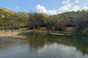 Vivir una experiencia auténtica cerca del mar o la sierra - Retiro Yoga Huelva